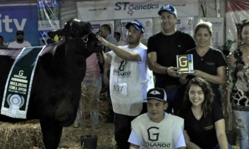 Abertura da Expo Girolando acontece nesta quinta-feira, dia 31, em Barra Mansa